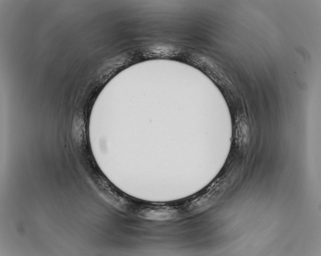 X0000111140459200907281115