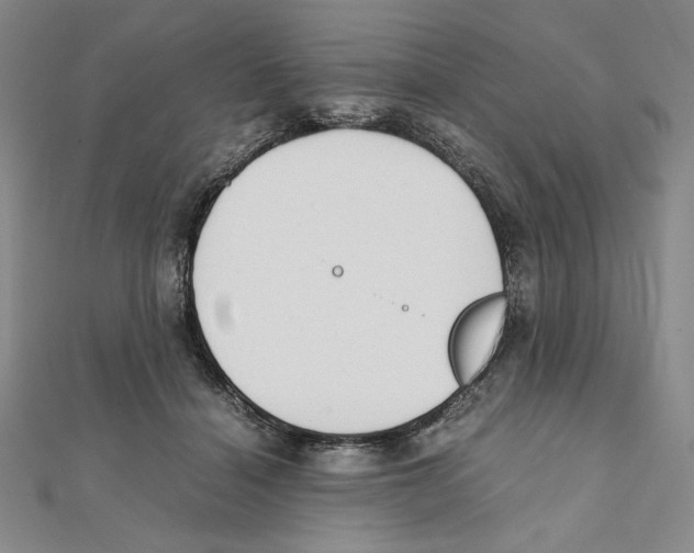 X0000111140460200907281115