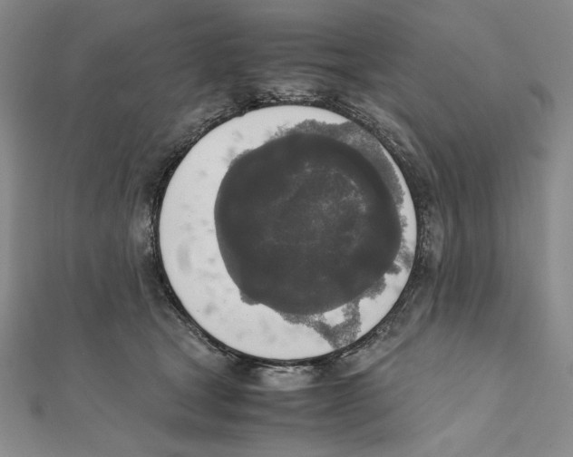 X0000111140465200907281115