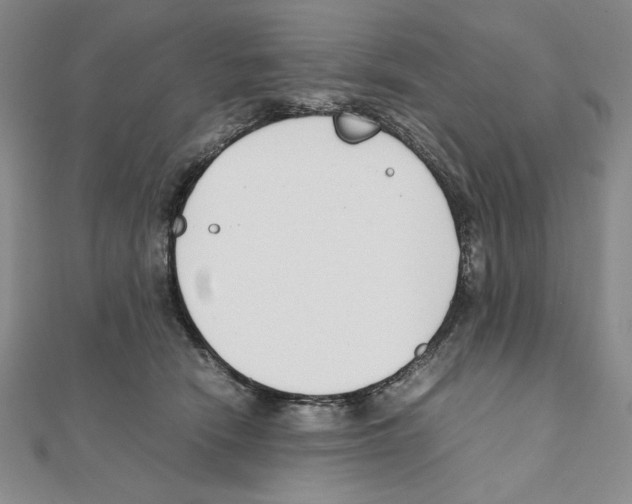 X0000111140466200907281115