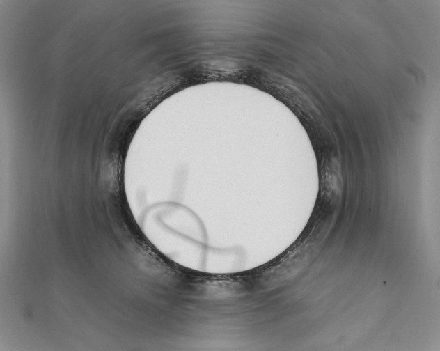 X0000111140468200907281115