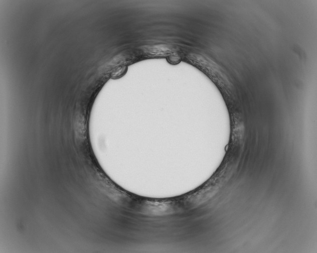 X0000111140469200907281115