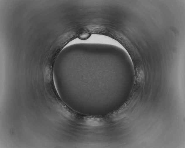 X0000111140471200907281115