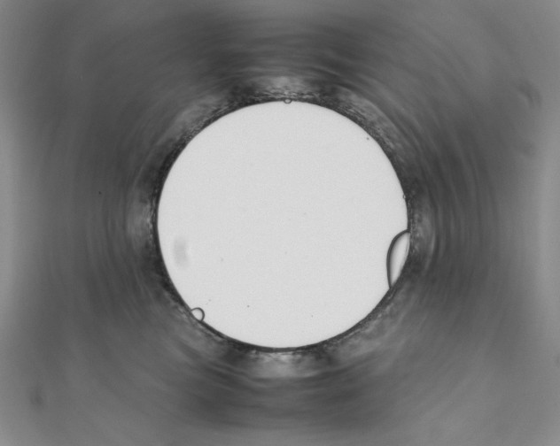 X0000111140473200907281116