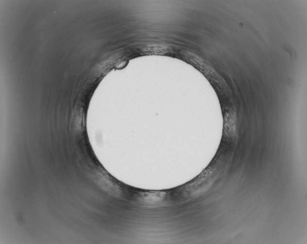 X0000111140474200907281116