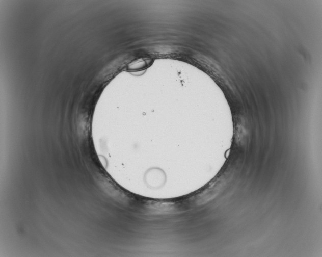 X0000111140476200907281116