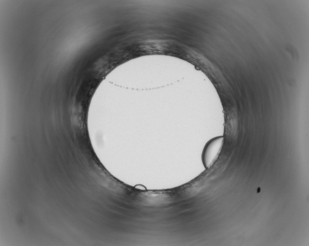 X0000111140477200907281116