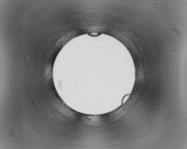 X0000111140478200907281116