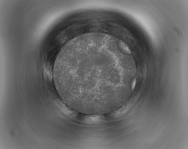 X0000111140479200907281116