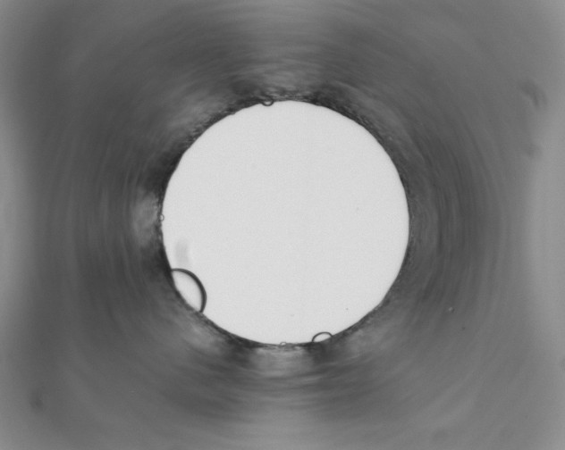 X0000111140480200907281116