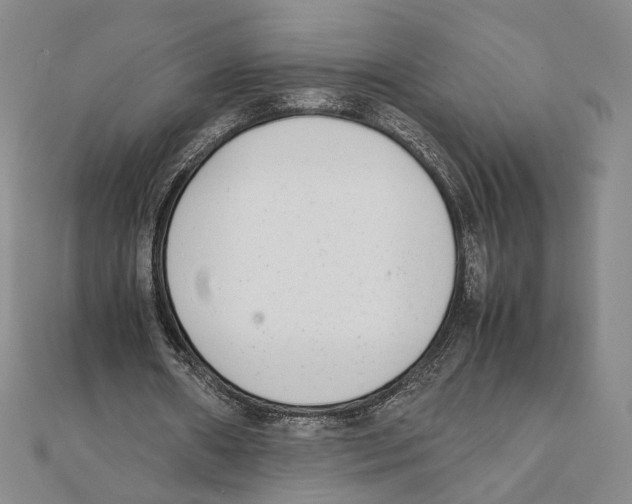 X0000111140482200907281115