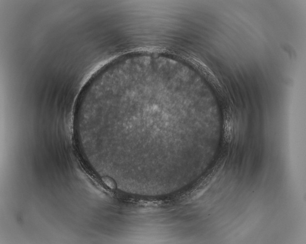 X0000111140484200907281115