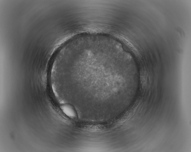 X0000111140488200907281115