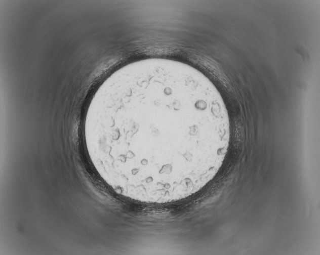 X0000111140491200907281115