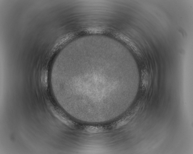 X0000111140494200907281115