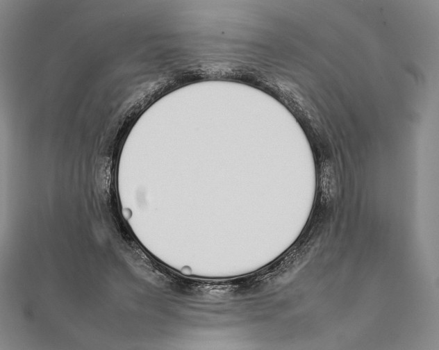 X0000111140495200907281115