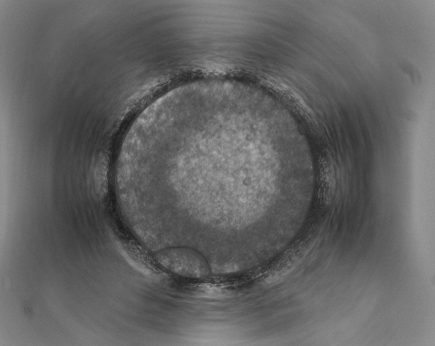 X0000111140496200907281115