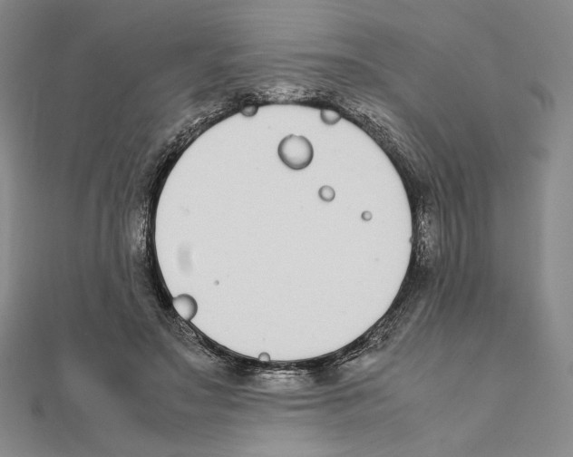 X0000111140499200907281115