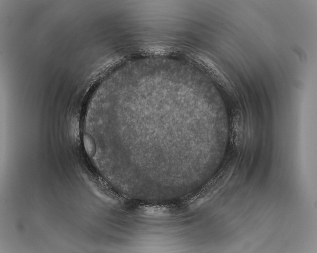 X0000111140500200907281115