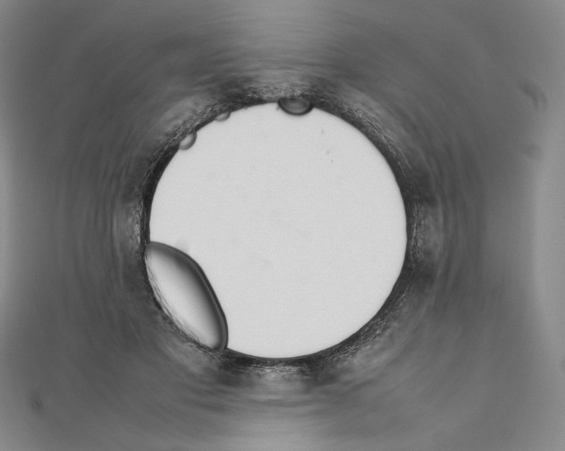 X0000111140501200907281115