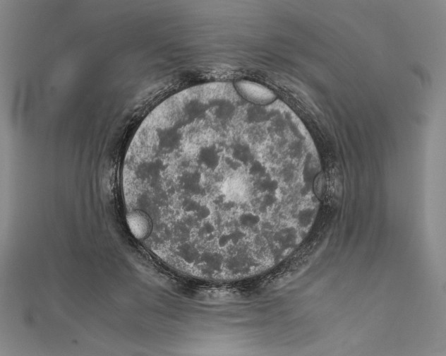 X0000111140503200907281115