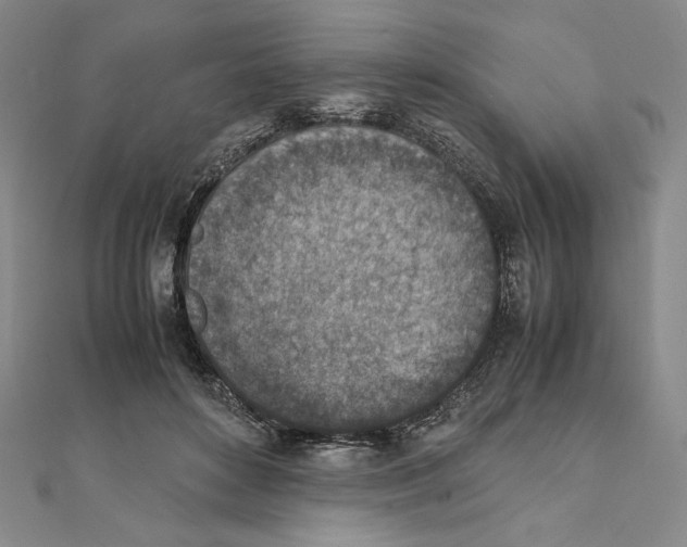 X0000111140504200907281115