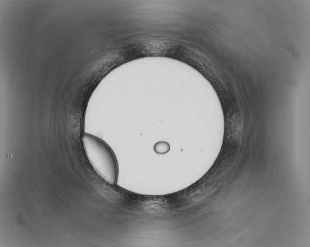 X0000111140505200907281115