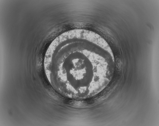 X0000111140507200907281115