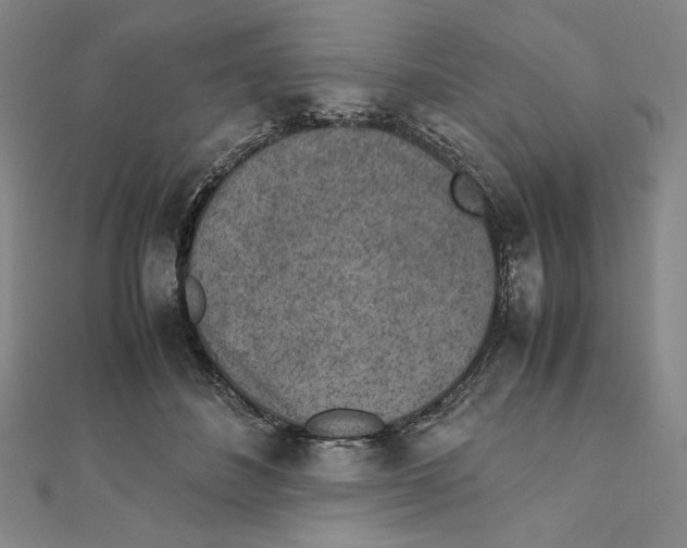 X0000111140508200907281115