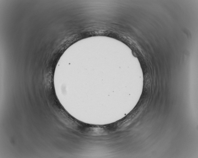 X0000111140509200907281115