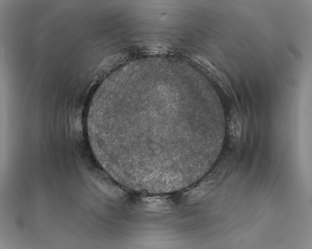 X0000111140516200907281115