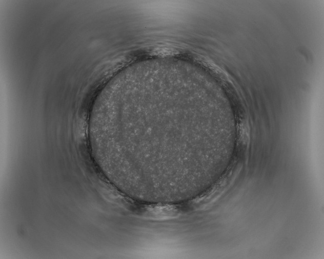 X0000111140517200907281115