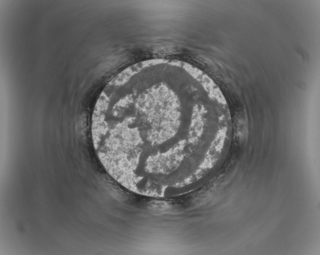 X0000111140519200907281115