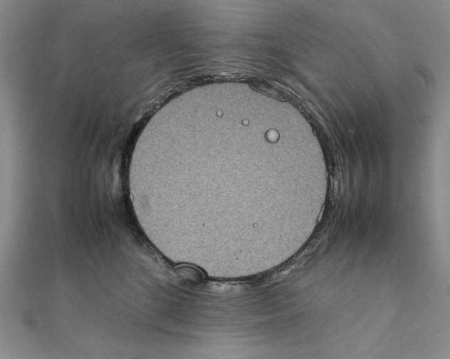 X0000111140520200907281114