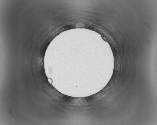 X0000111140521200907281114