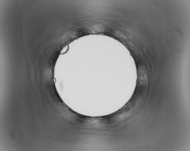 X0000111140523200907281114