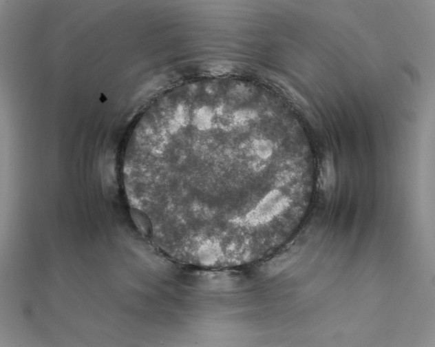 X0000111140524200907281114