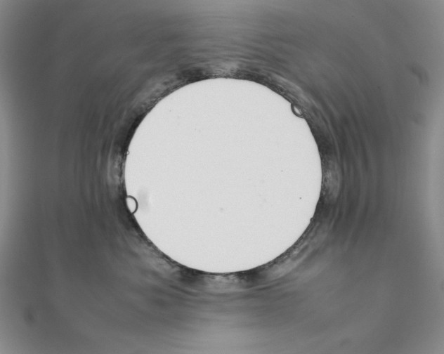 X0000111140525200907281114