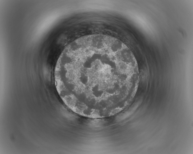 X0000111140527200907281114