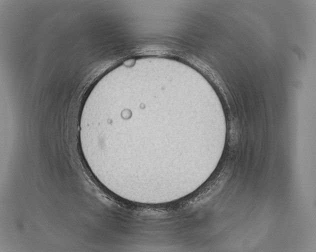 X0000111140529200907281114