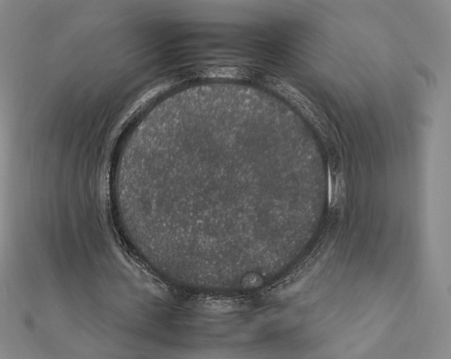 X0000111140531200907281114