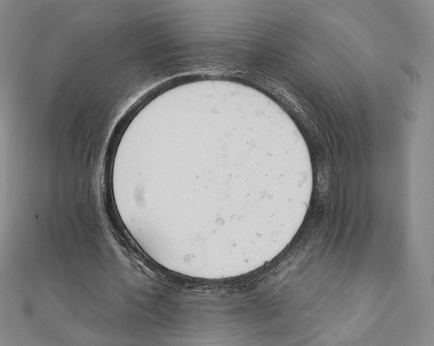 X0000111140532200907281114