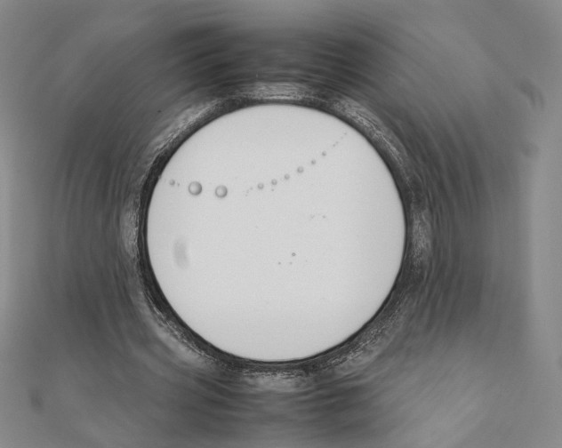 X0000111140533200907281114