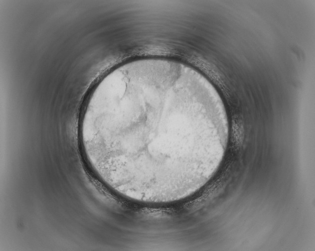 X0000111140534200907281114