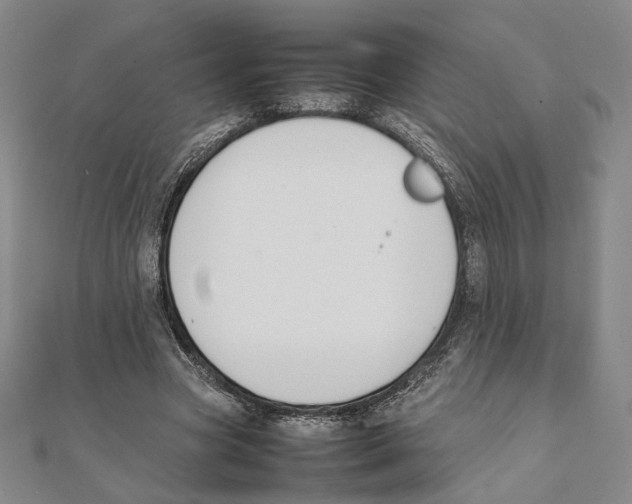 X0000111140537200907281114