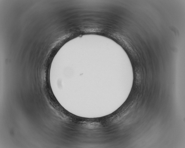 X0000111140539200907281114