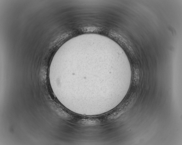 X0000111140545200907281114