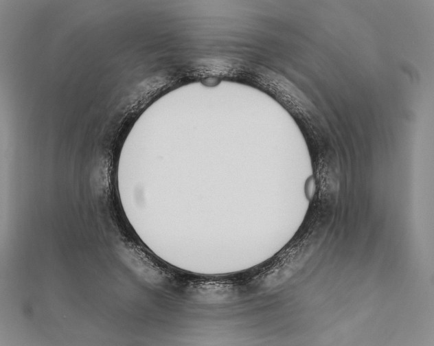 X0000111140546200907281114