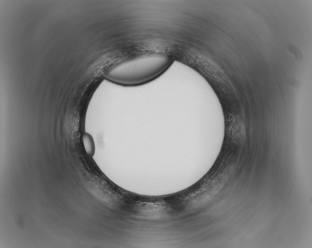 X0000111140548200907281114