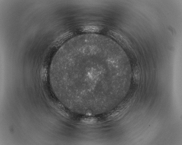 X0000111140551200907281114